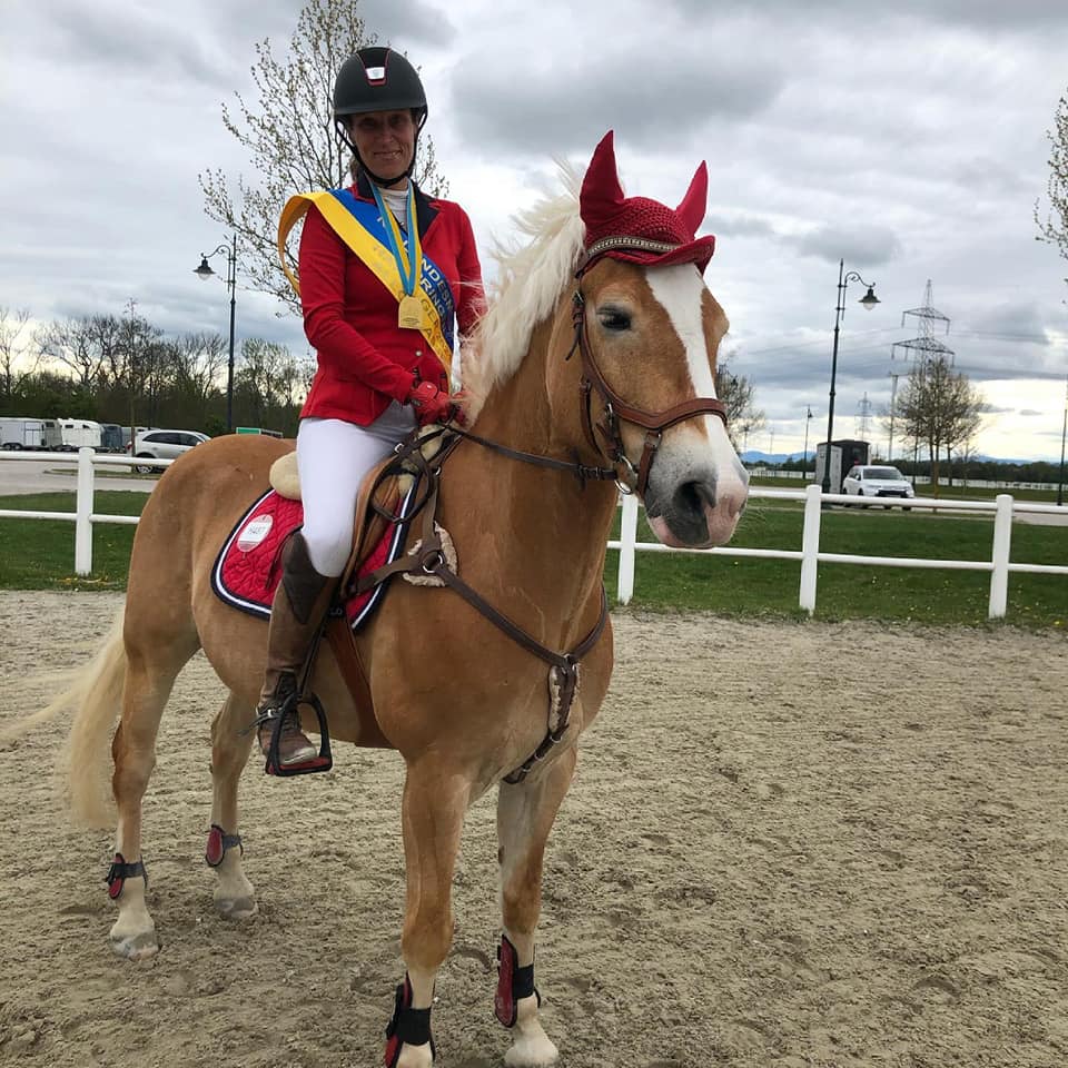Birgit Sturm und Amicelli BS wurden Landesmeister Haflinger Springen Allgemeine Klasse /Junge Reiter. © privat