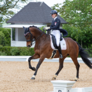 Platz 3 für Elena Erbstein (NÖ) und Larifari (68,627) im Young Rider Individual Test in Achleiten. © CDI Achleiten