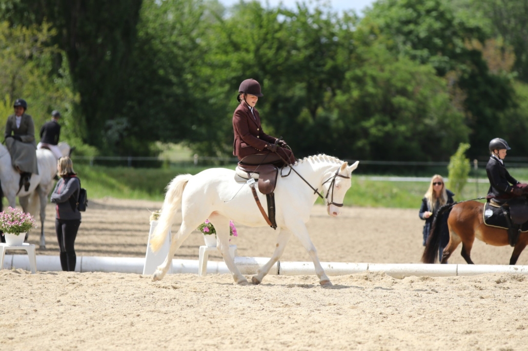 Julia Ries und Sweet Holly holten ihren zweiten Titel in Folge. © Michelle Schuster