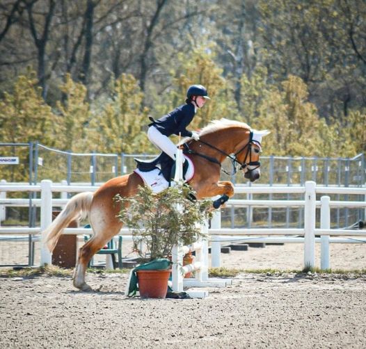 Leona Pribil-Sumetsberger und Lee-Ann auf dem Weg zur Silbermedaille bei den NÖ Landesmeisterschaften Haflinger Springen Jugend/Junioren. © privat