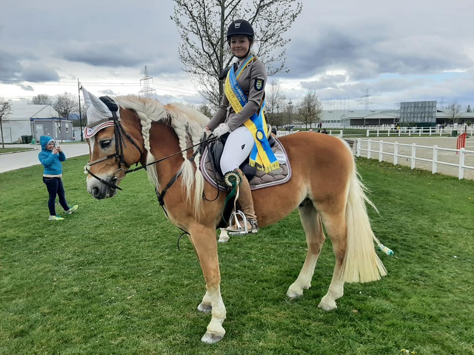 Lisa Pribil-Sumetsberger und Mystery vom Tannenberg holten sich in Ebreichsdorf den Niederösterreichischen Landesmeistertitel Haflinger Springen Jugend/Junioren. © privat