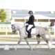 Alice Pinezits und Shagya Bube gewannen 2020 die Arabertrophy der Klasse L. © privat