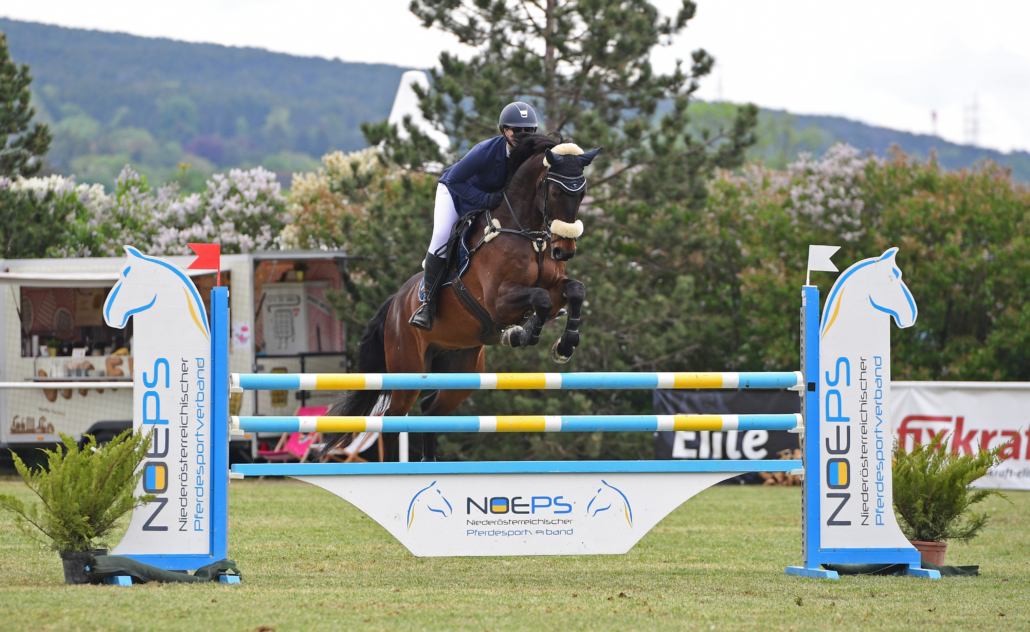 Michelle Schuster und Hollenstein: © HORSIC.com