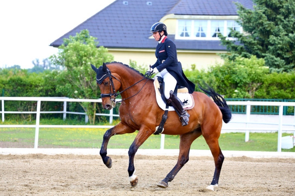 Neben ihrem Engagement als Sponsorin war Tamara Brandner (RS Kottingbrunn) auch im Sattel erfolgreich unterwegs und holte beispielweise mit My Johnsons Royal Platz 3 im Fame Horse and Helath Cup. © privat