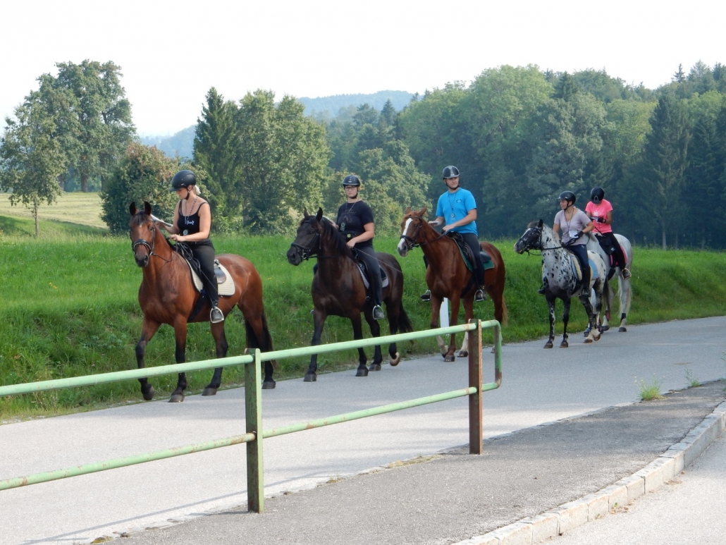 Erfolgreicher Wanderreitführerkurs im URFV Allhartsberg. © privat