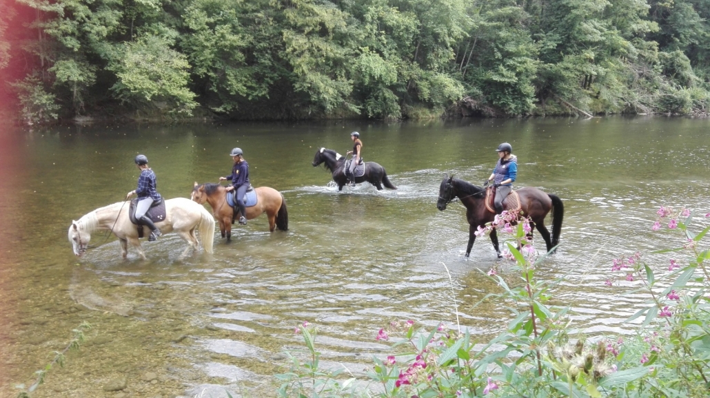 Erfolgreicher Wanderreitführerkurs im URFV Allhartsberg. © privat