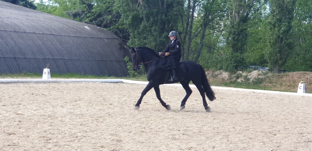 Yvonne Woisetschläger und Milano von Feistritz (PSZ Breitenfurt). © Edith Kermer