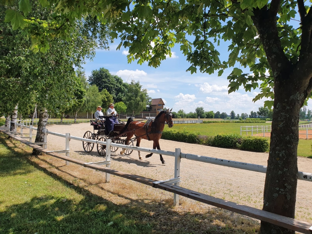 Impressionen vom Fahrertreffen am Edelhof. © privat