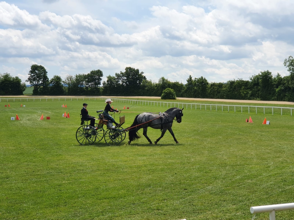 Impressionen vom Fahrertreffen am Edelhof. © privat