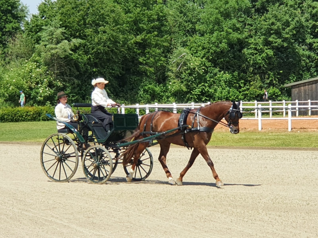 Impressionen vom Fahrertreffen am Edelhof. © privat