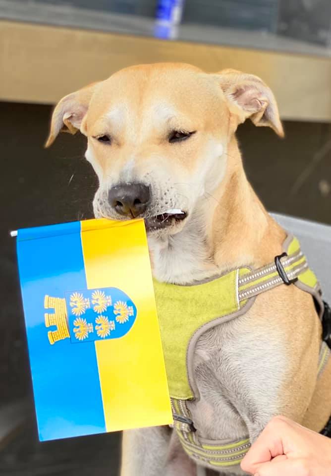 Tierischer Fanclub. © privat