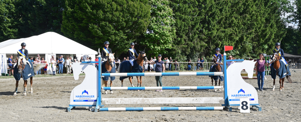 Herzliche Gratulation den Ländlichen Niederösterreichischen Landesmeistern Haflinger und Pony. © HORSIC.com