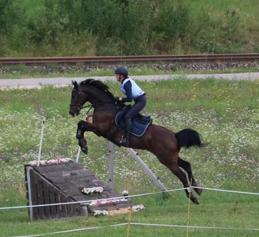 Birgit Brandstetter und Grafenstolz Boy auf dem Weg zum Bundesmeistertitel in der Allgemeinen Klasse Warmblut. © Claudia Stoiser