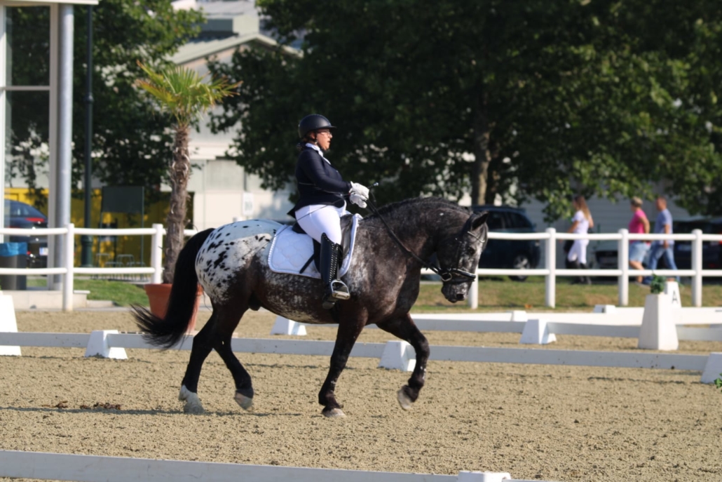 Chiara Ille mit dem Schwarzflecktigerwallach „Maxl Vulkan“. © Manuela Baldauf