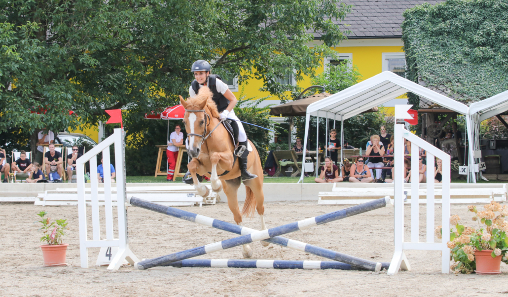 2 Tage voller spannender Dressur- und Springprüfungen, da ist für jeden etwas dabei. © Gt Breitfeld