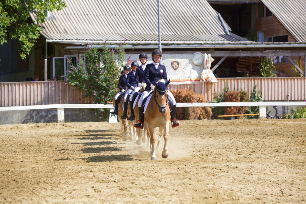 Blondschöpfe at its best! Mannschaftsdressur bei der Ländlichen BM Haflinger 2021. © Claudia Stoiser