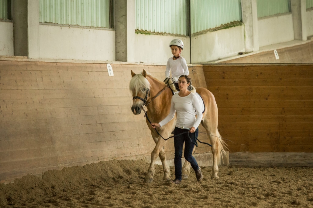 Führzügelklasse im Gestüt Weidenholz. © privat