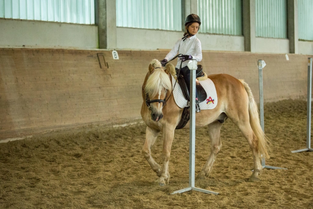 Geschicklichkeitsbewerb beim Dressurturnier in Hürm. © privat