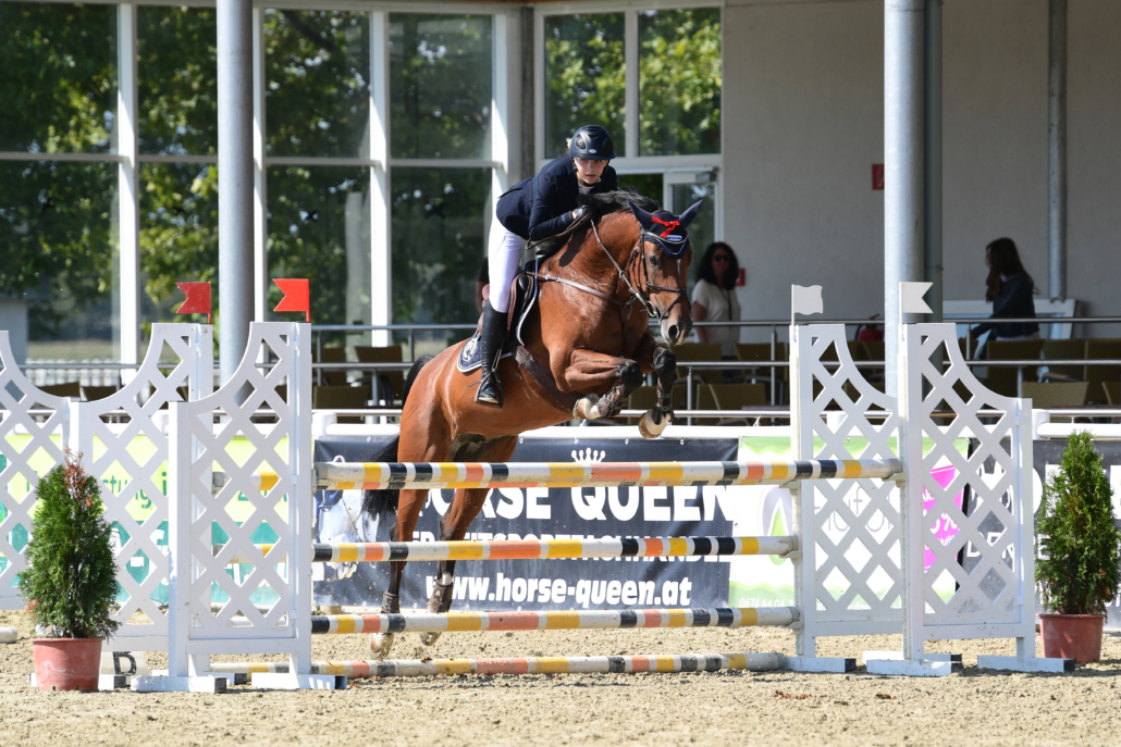 NÖ LM Jugend: NOEPS Talente Team-Reiterin Eloise Kubat & Big Molly. © HORSIC.com