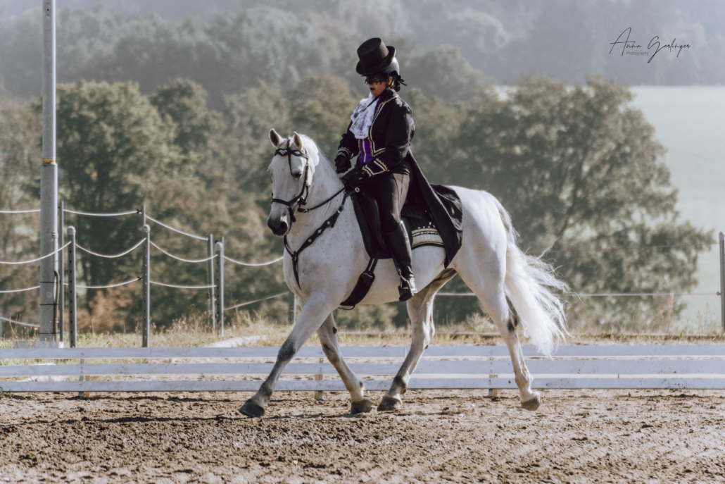 Die 2. Auflage von MÚSICA CABALLO fand am 25. September am Niedernhof statt. © Anna Gerlinger