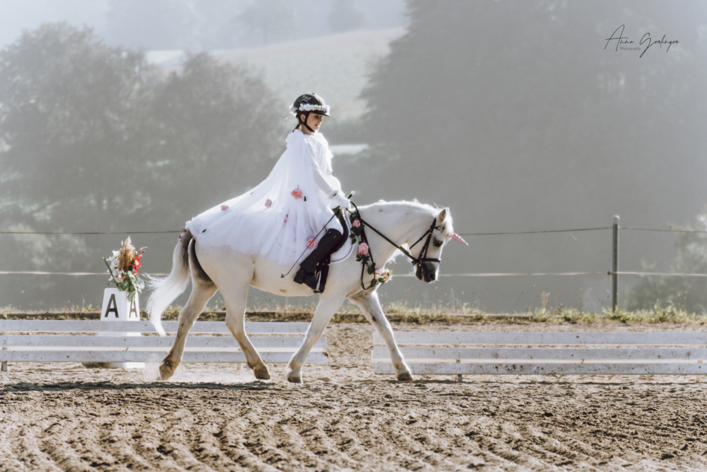 Die 2. Auflage von MÚSICA CABALLO fand am 25. September am Niedernhof statt. © Anna Gerlinger