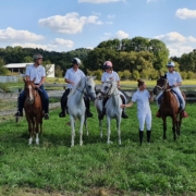 Team NÖ bei der BLMM Distanzreiten 2021. © privat