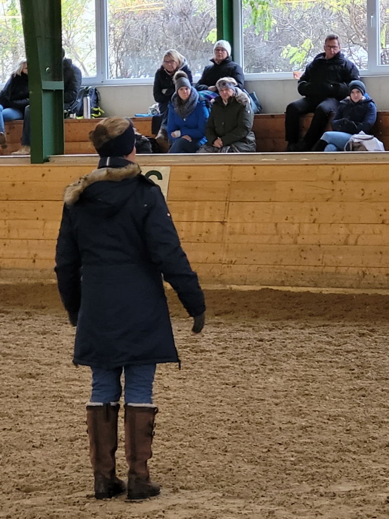 Fortbildung zur Jungpferdeausbildung mit Leonie Bramall am Gutenhof. © privat