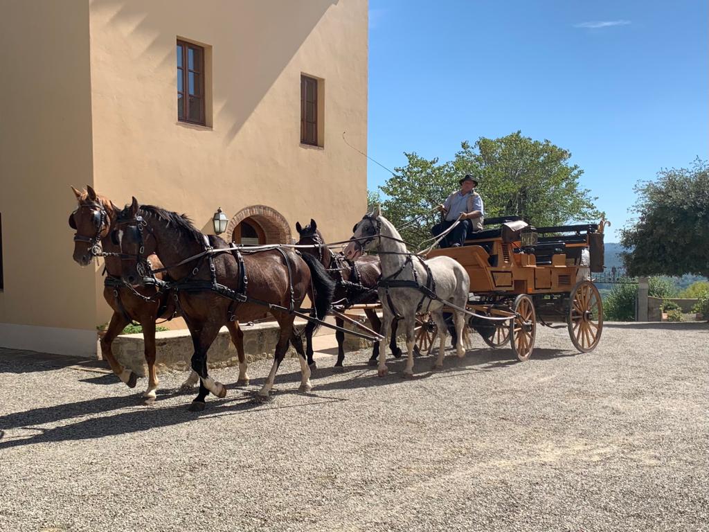 Mit einem niederösterreichischen Vierspänner durch die Toskana. © privat