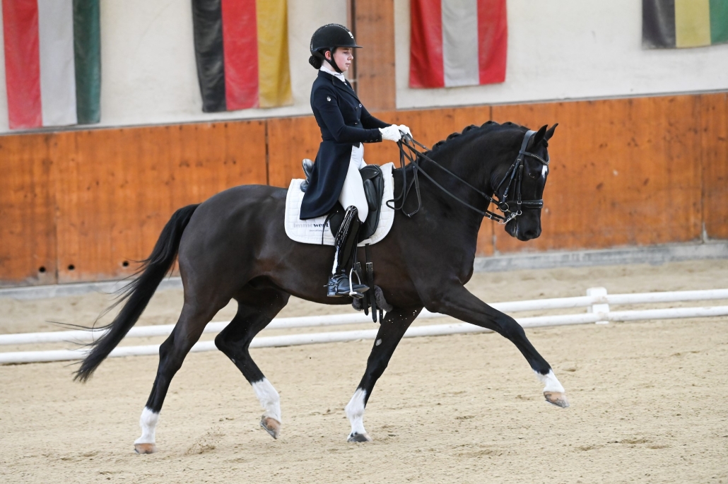 Sichtung für Jugend, Junioren, Junge Reiter und Ponyklasse in Weikersdorf. © Istvan Lehoczky
