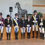 Niederösterreichische Landesmeisterschaften der Haflinger in Ebreichsdorf. © HORSIC.com