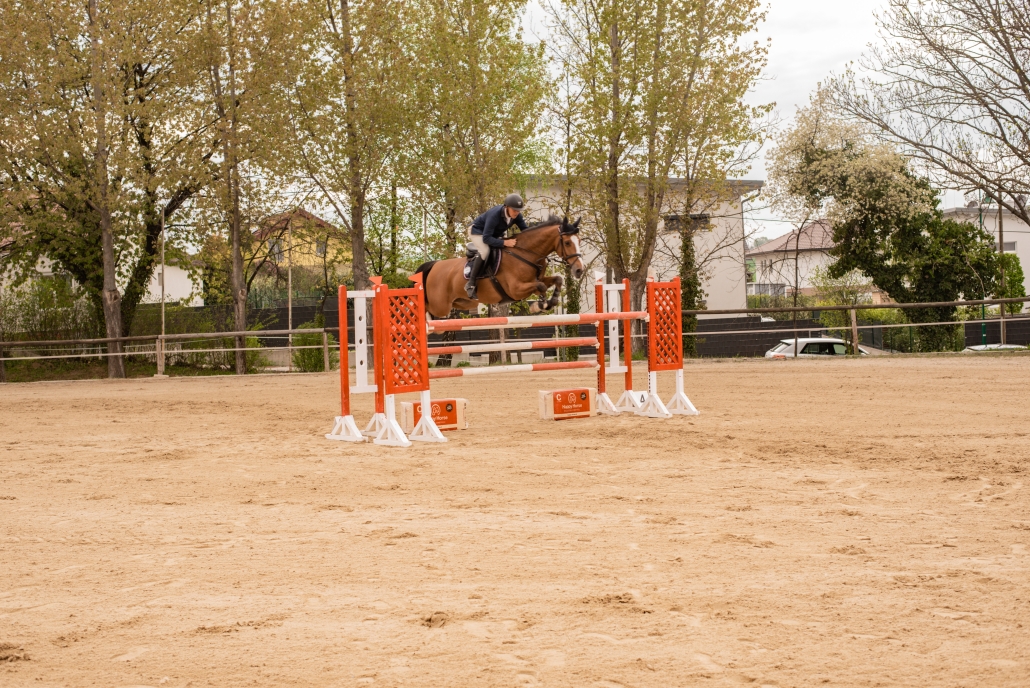 Sieg im NÖ Rider of the year Cup powered by Böckmann Center Auer und Rang 3 im Springcup der Hofkellerei des Fürsten Liechtenstein für Christian Schranz. © Fotografie Bianca