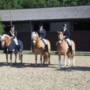 Ländliche NÖ Landesmeisterschaft Dressur Haflinger R2/RD2. © Gerhard Hinterhofer