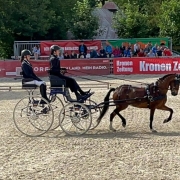 Miriam Ecker vom URFV Allhartsberg auf der Pferd Wels 2022. © privat