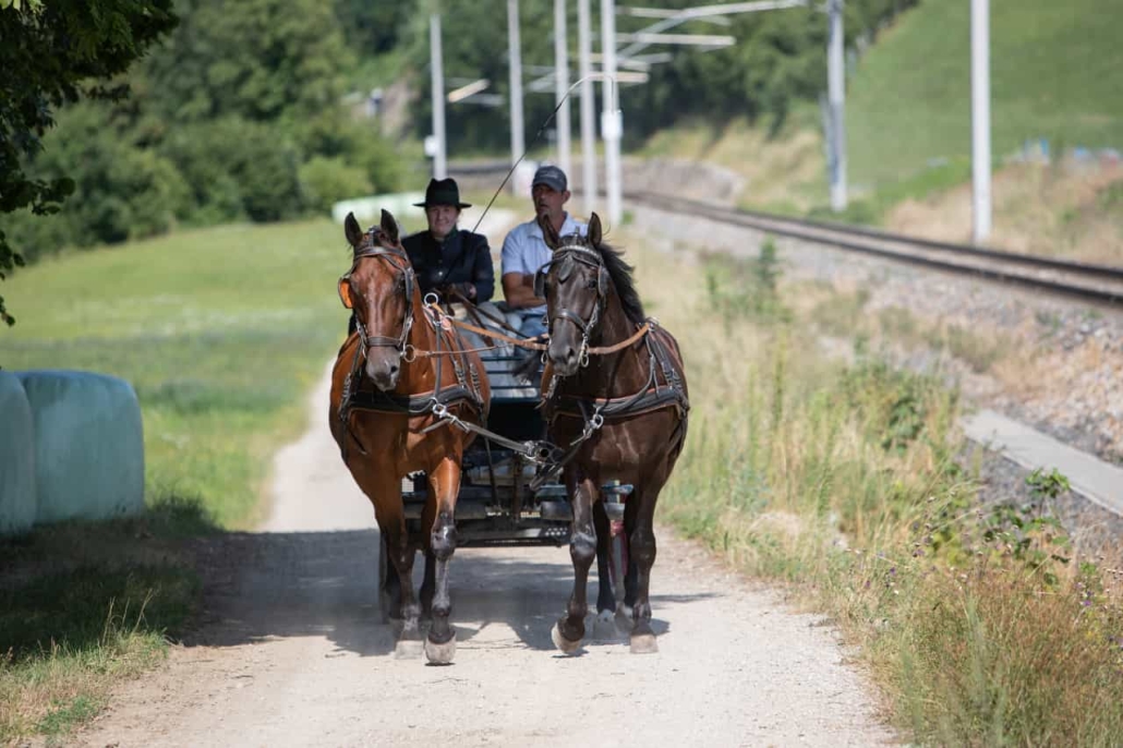 ÖFAB in Allhartsberg. © URFV Allhartsberg