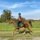 Romana Grubmüller und Ro Othar siegten in Samorin über die 160 km Distanz. © privat