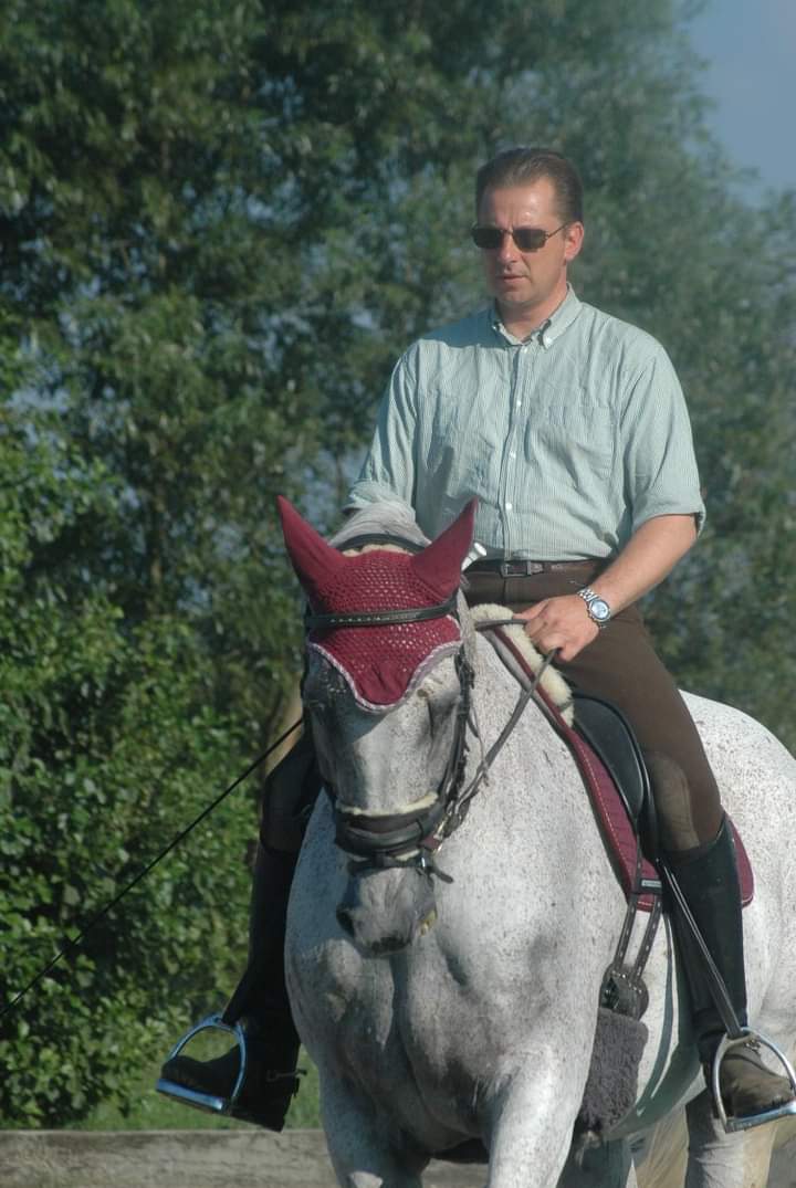 Dressurkurs mit Wolfgang Grüner