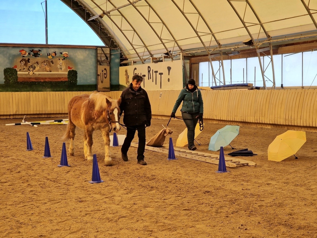 © Michaela Bociurko