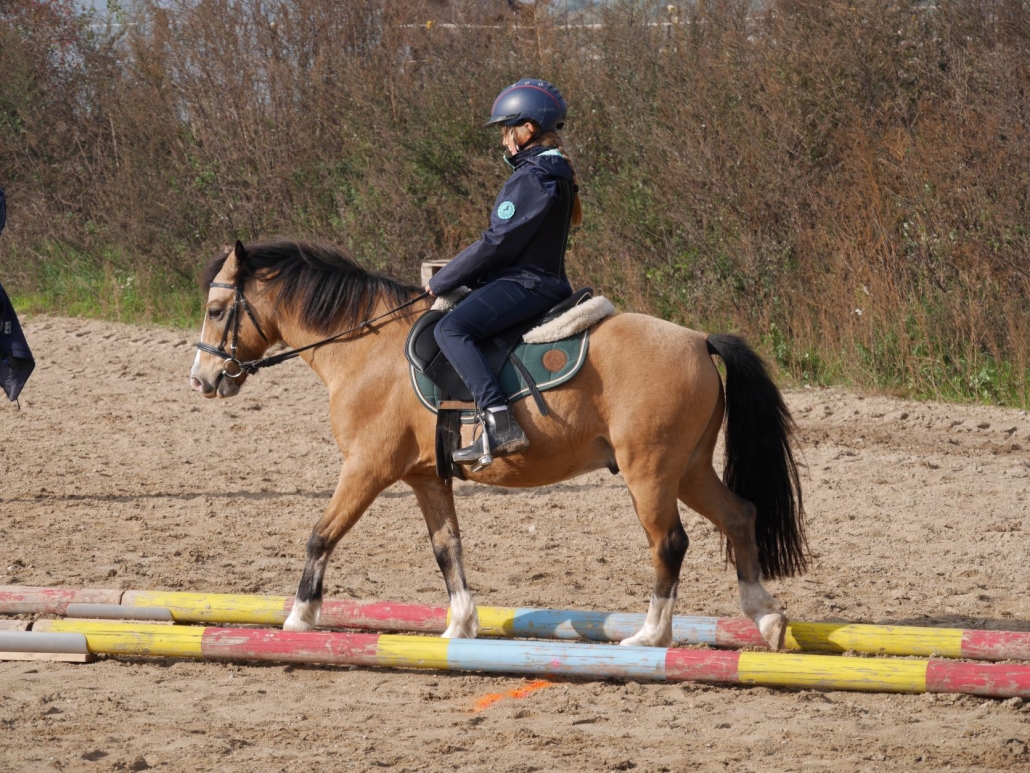 Orientierungsreitkurs am Schaflerhof. © privat