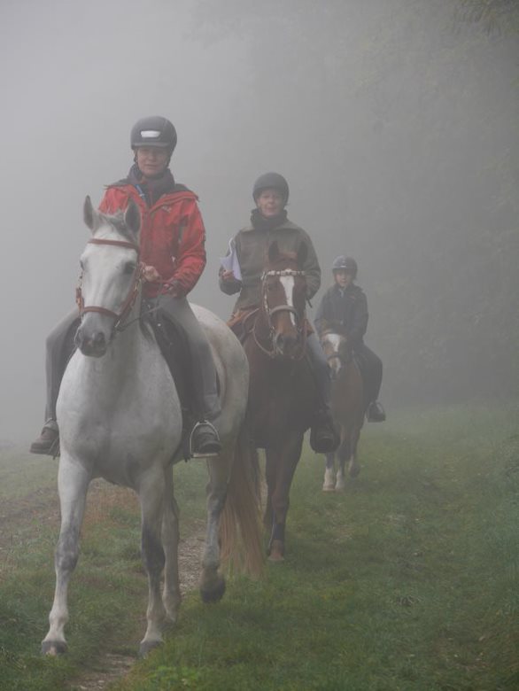 Orientierungsreitkurs am Schaflerhof. © privat