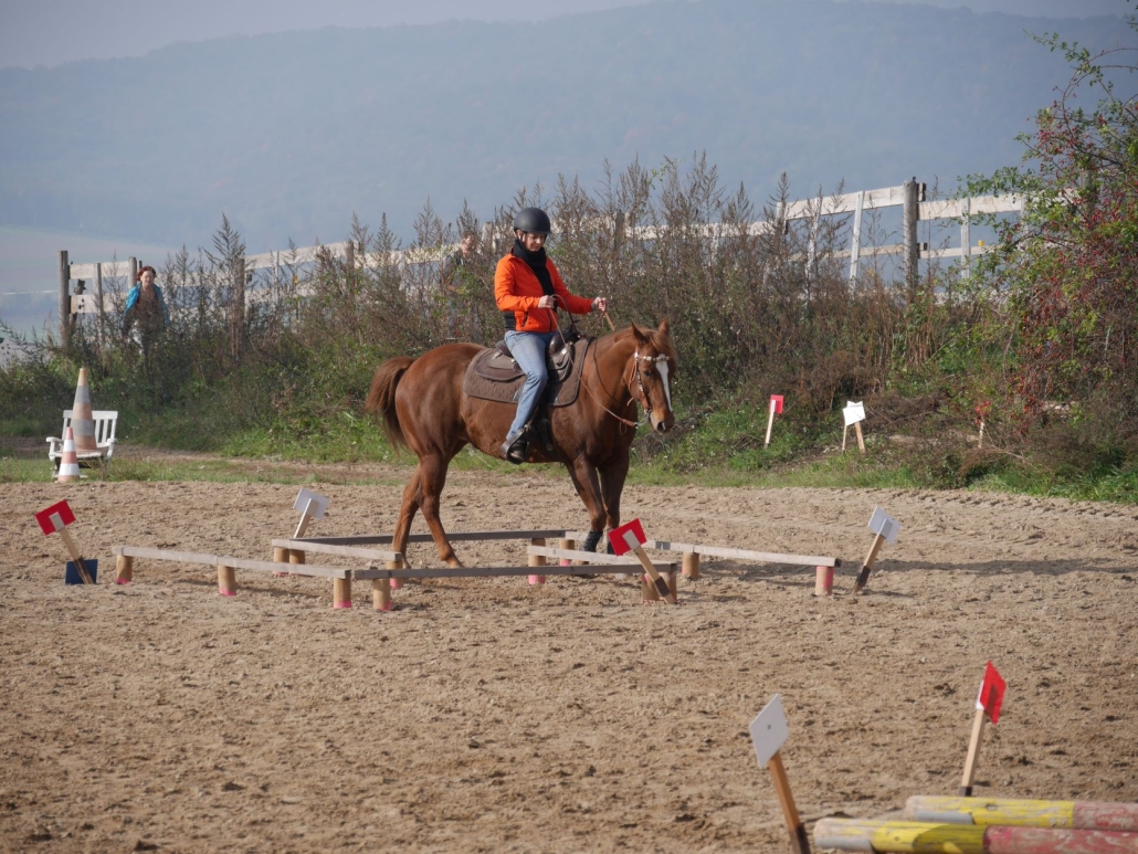 Orientierungsreitkurs am Schaflerhof. © privat