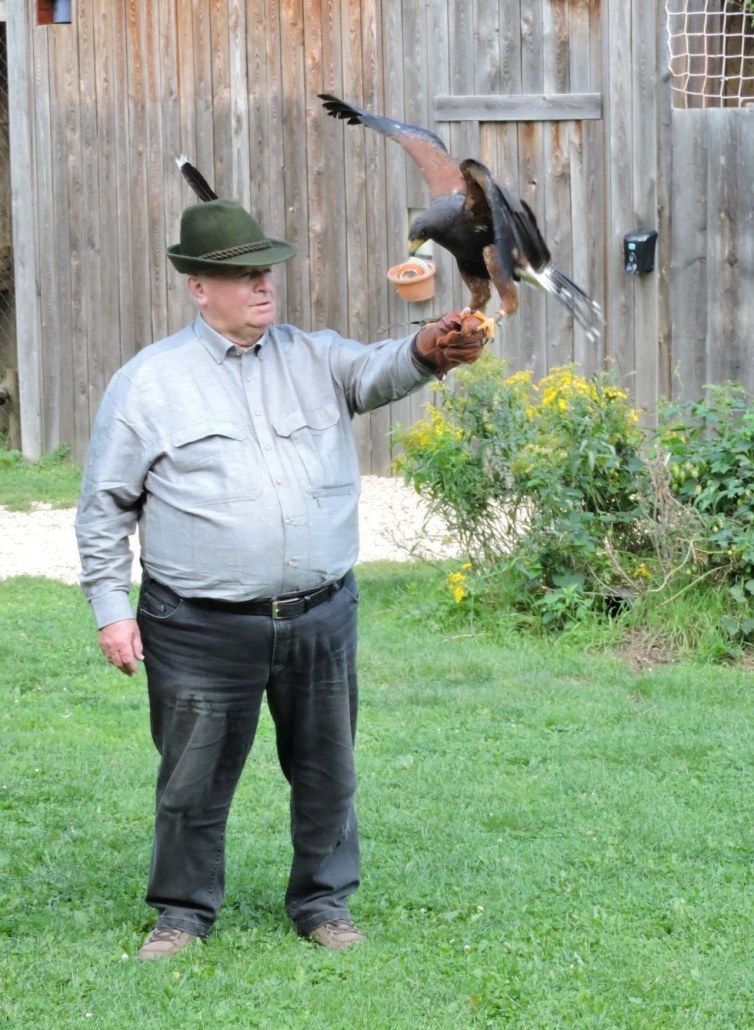 NOEPS Ehrenpräsident Fritz Schuster mit seinem Harris Hawk