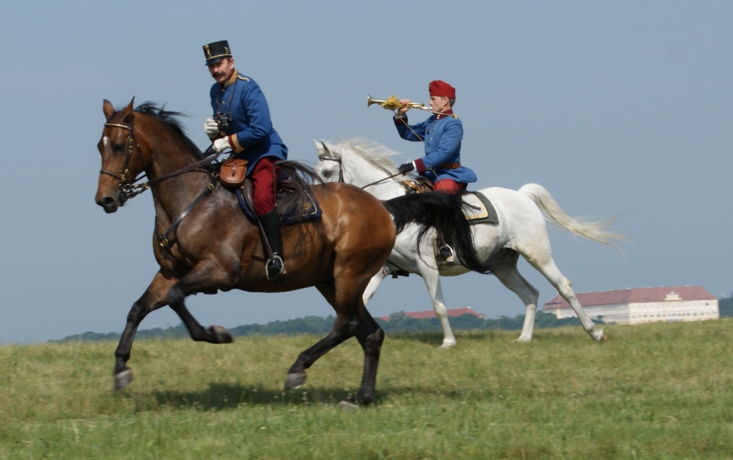 Im vollen Galopp über das Marchfeld, um einen geordneten Ablauf und ein gelungenes Geschehen zu garantieren beim Schlösserritt. © ZVGIm vollen Galopp über das Marchfeld, um einen geordneten Ablauf und ein gelungenes Geschehen zu garantieren beim Schlösserritt. © ZVG