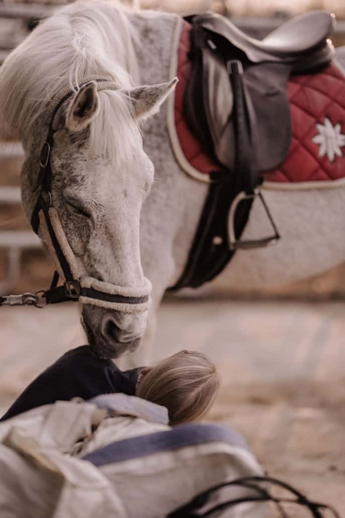(c) Julia Trimmel Tierfotografie