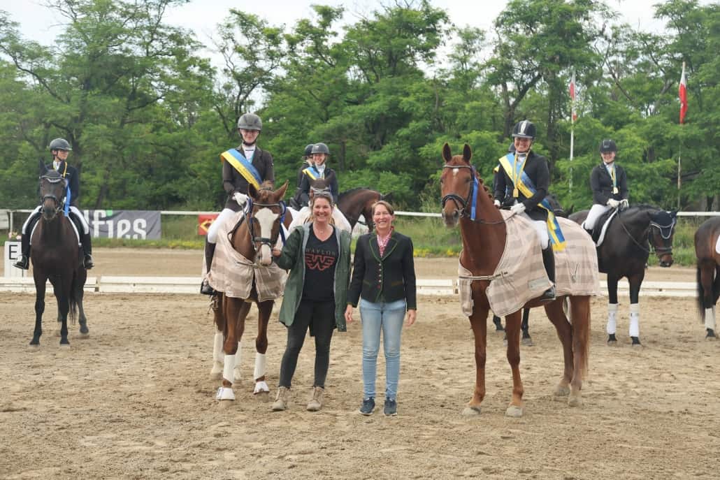 Bestes Pferd aus niederösterreichischer Zucht: Siboney N. © Manfred Loidl/happyhippofoto