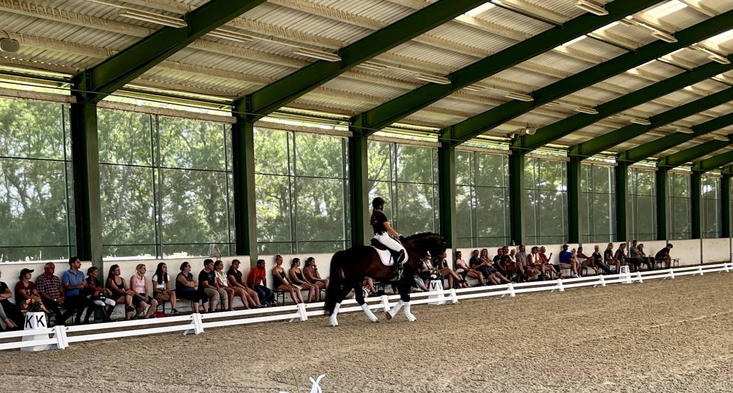 Mehr als 90 Zuschauer beim Gipfeltreffen der Ausbildung mit Christof Umach. © privat
