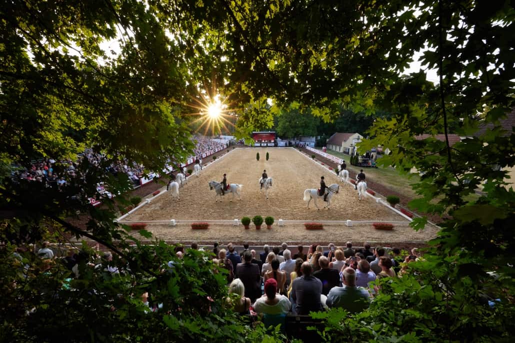 © AMI Promarketing Hloch