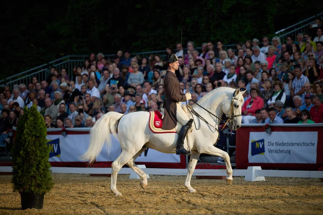 © AMI Promarketing Hloch