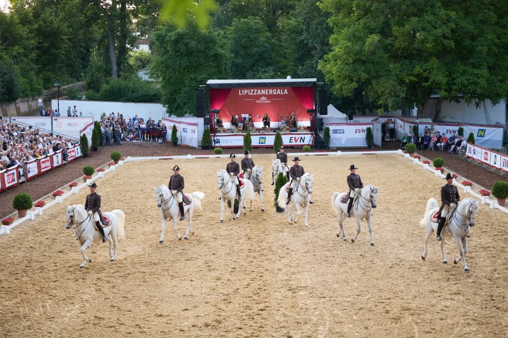 © AMI Promarketing Hloch