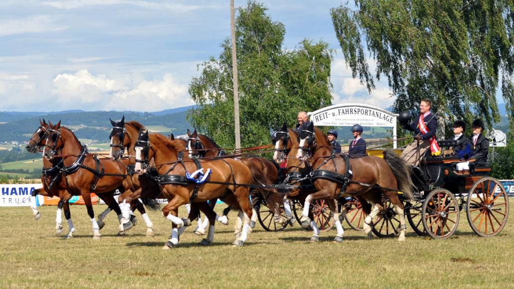 2. Titel für Daniel Schneiders. © Sonja Bauer