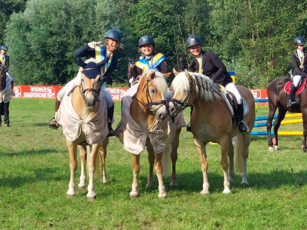 Herzliche Gratulation den Ländlichen NÖ Meistern Haflinger und Pony 2023. © Ländliche NÖ